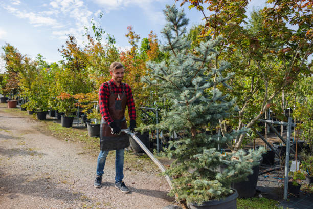 Best Tree Trimming and Pruning  in Geneva, WA